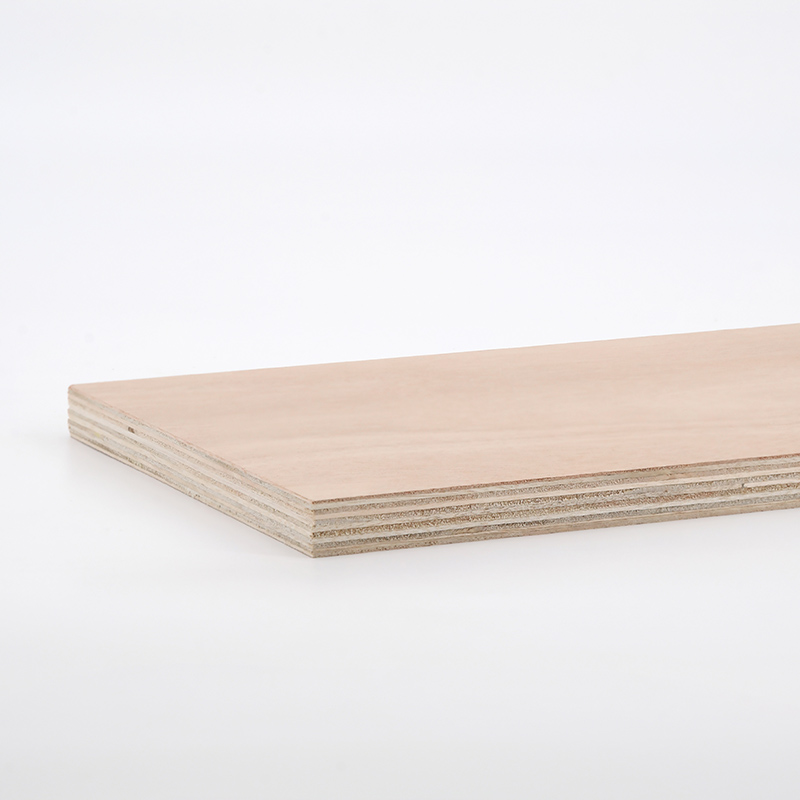 Plywood-arịa ụlọ 2