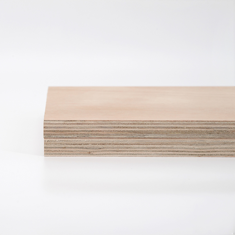 Plywood-Furniture board 5