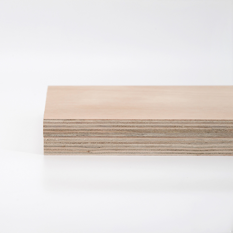 Plywood-Furniture board 5